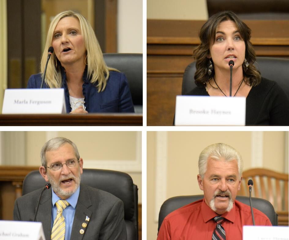 school board candidates.pdf