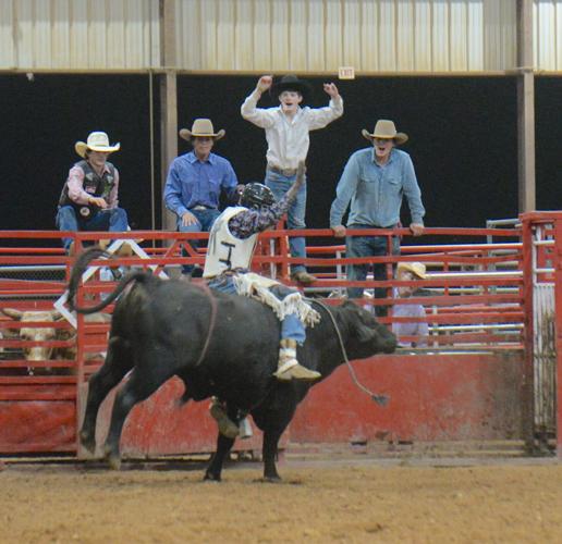 Haymaker Rodeo Bull Get rowdy with the Friday night rodeo at the Haywood County Fair | Life ...