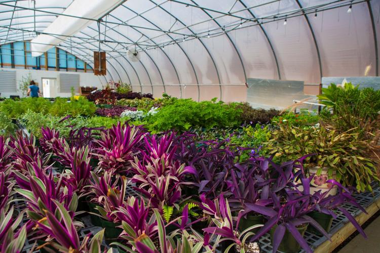 Lake Junaluska to host Annual Plant Sale on May 1 Life