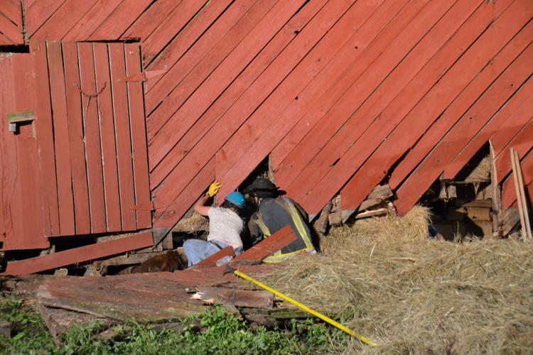 Horses trapped in barn collapse | News | themountaineer.com