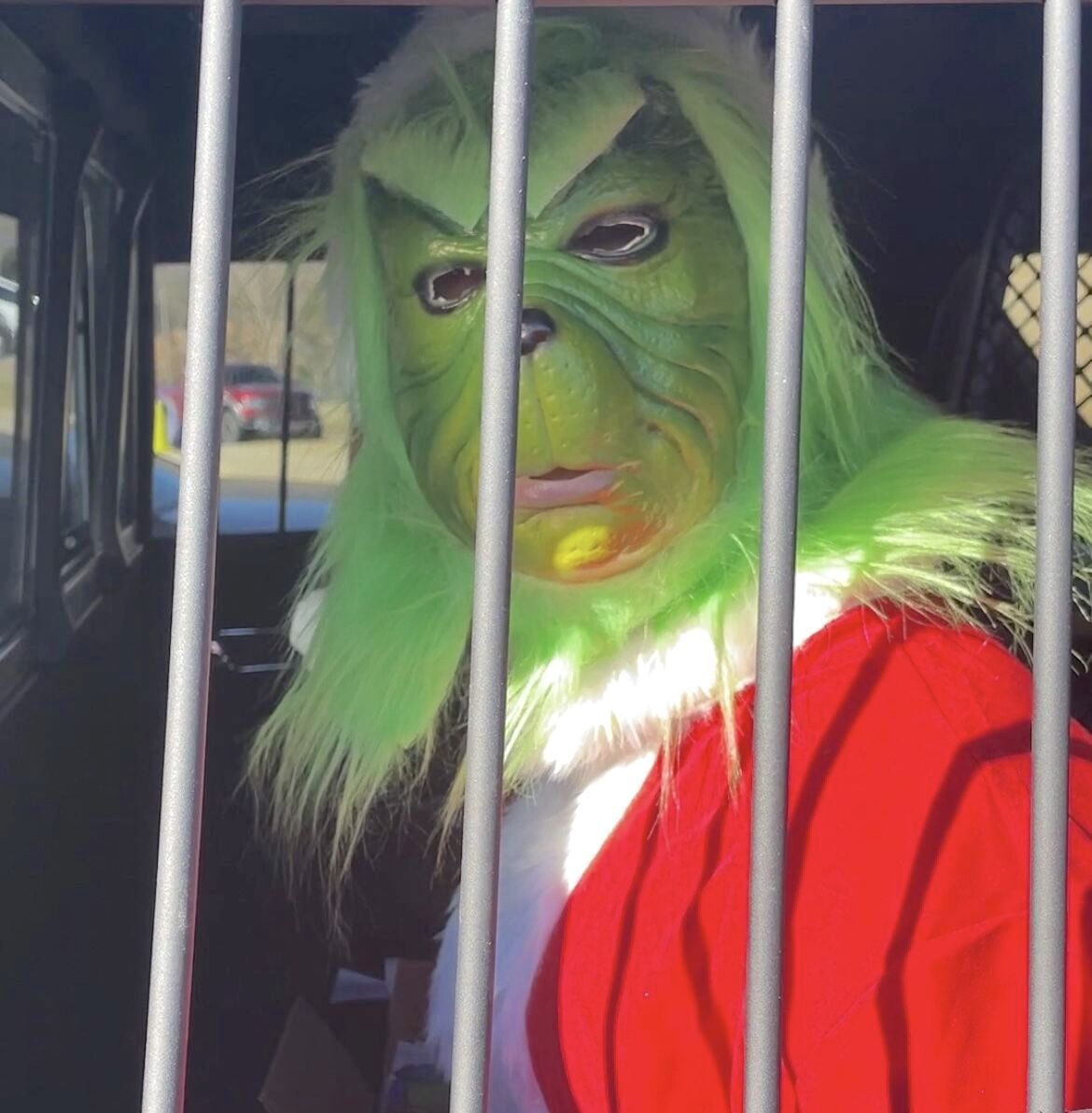 Caught Green Handed: Grinch Cuffed And Arrested At Bethel Elementary ...