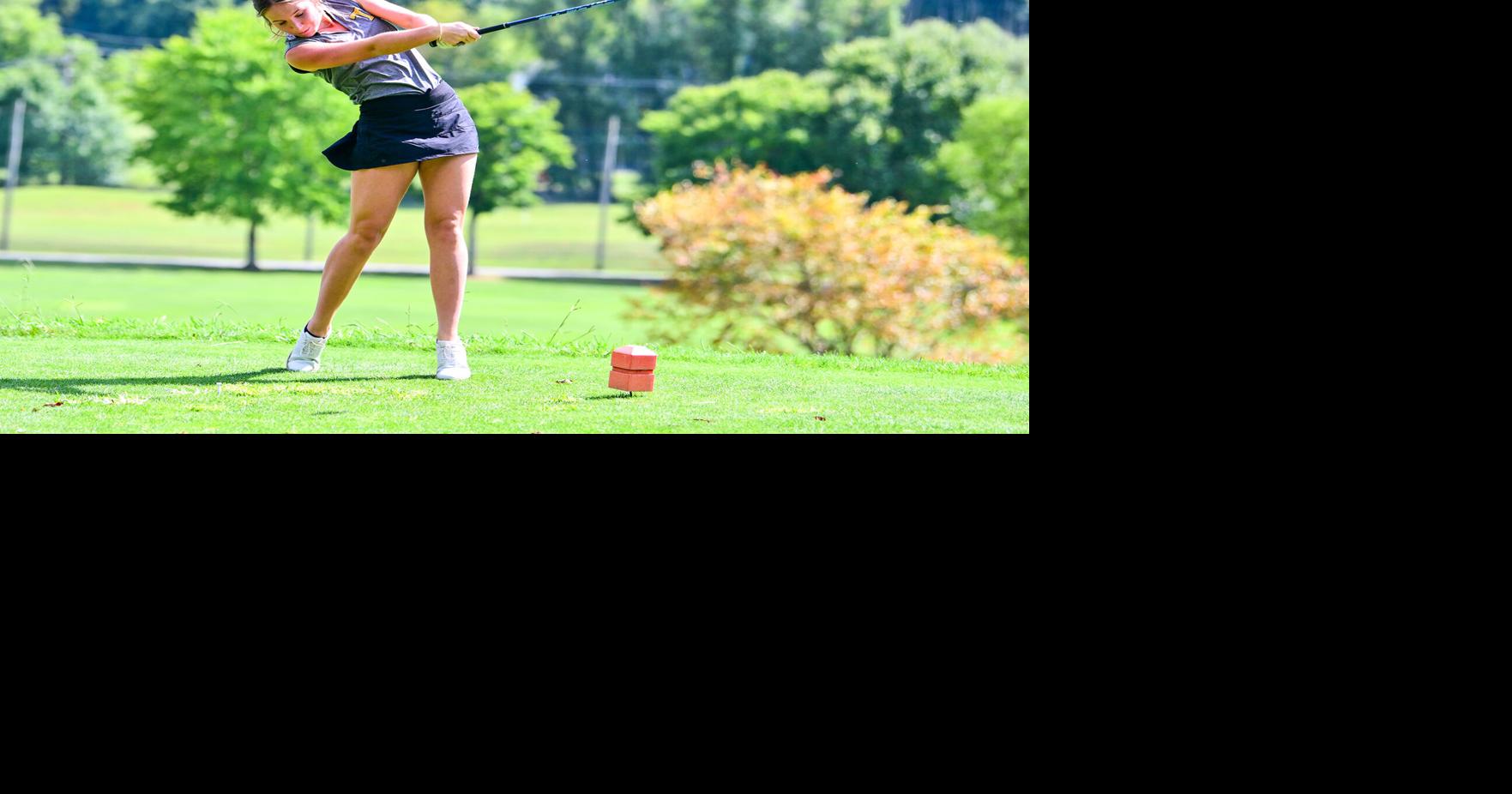 Shooting for the stars: Tuscola's top golfer makes her mark at state ...