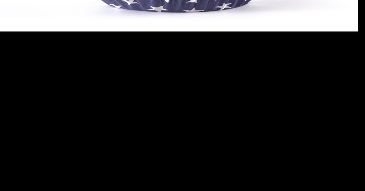 Veterans day mean