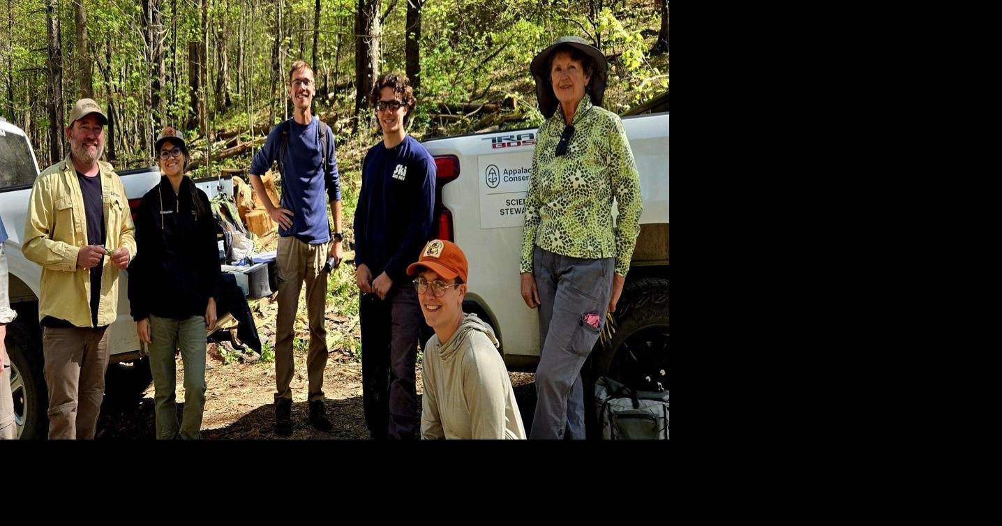Invasive species strike team targets garlic mustard on Appalachian Trail