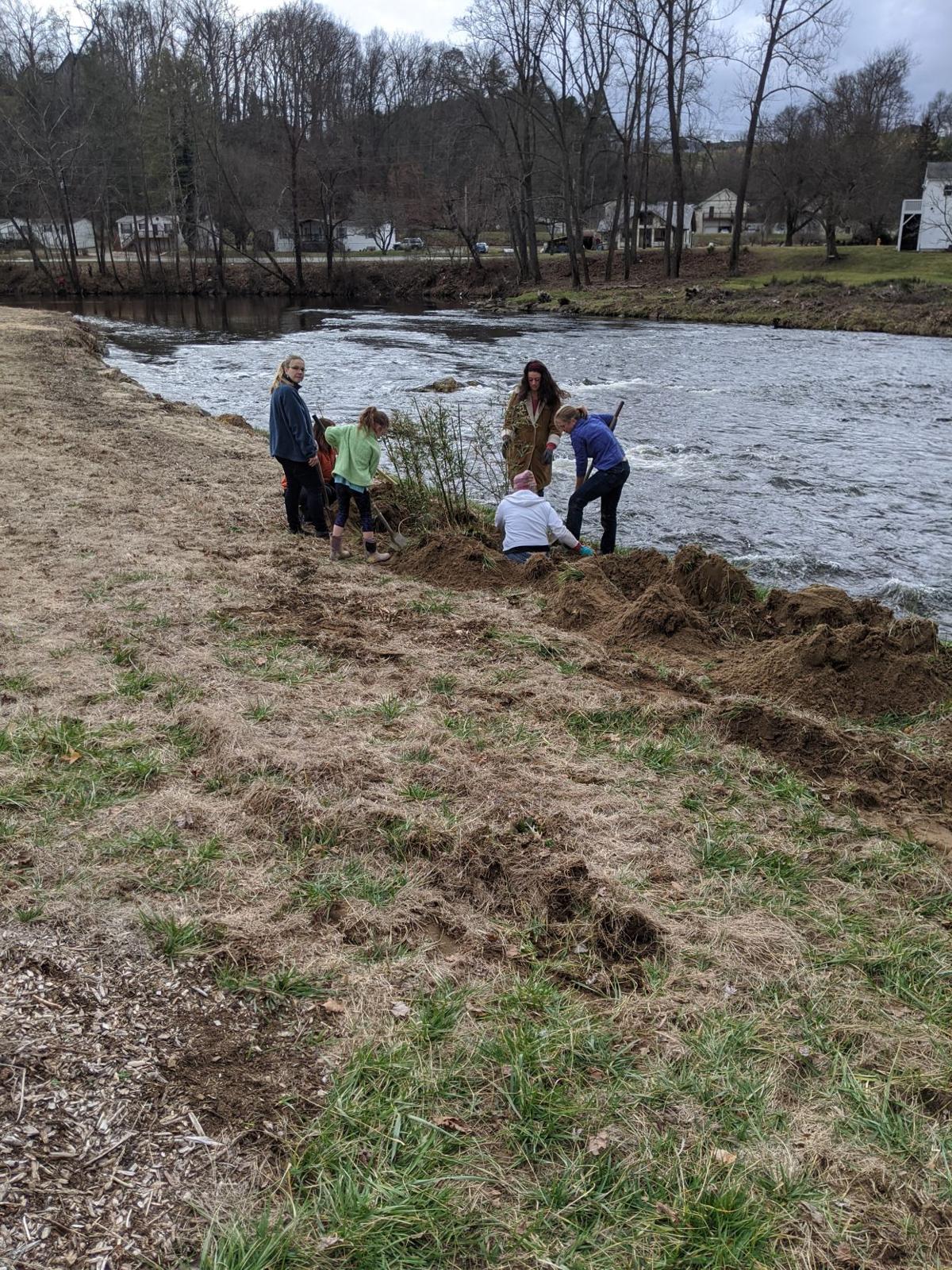 river cane planting 4.jpg