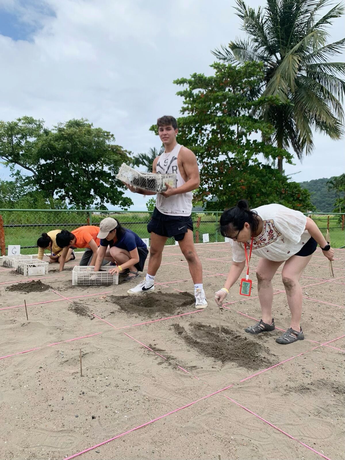 Estudiante de Tuscola salva tortugas marinas en Costa Rica | La vida