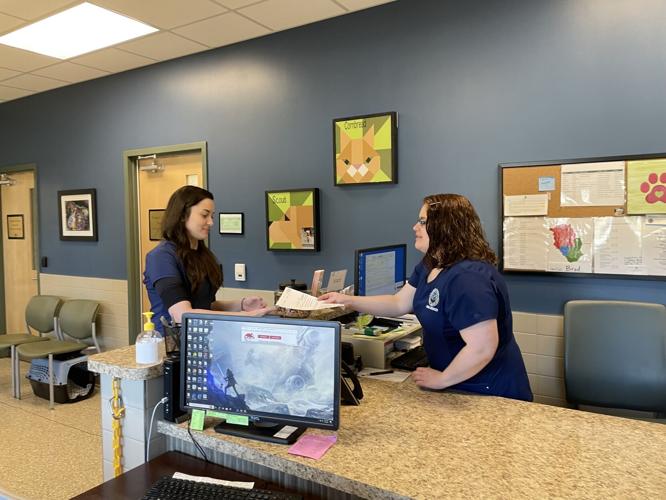 Behind the scenes of the pet intake process at Haywood County animal ...