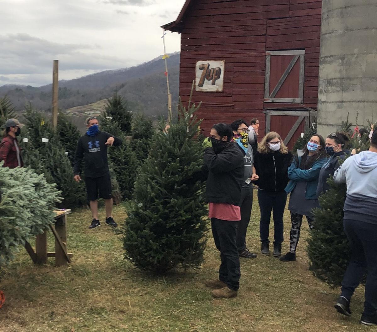 Hemphill Christmas Tree Farm - 7 Atlanta Holiday ...