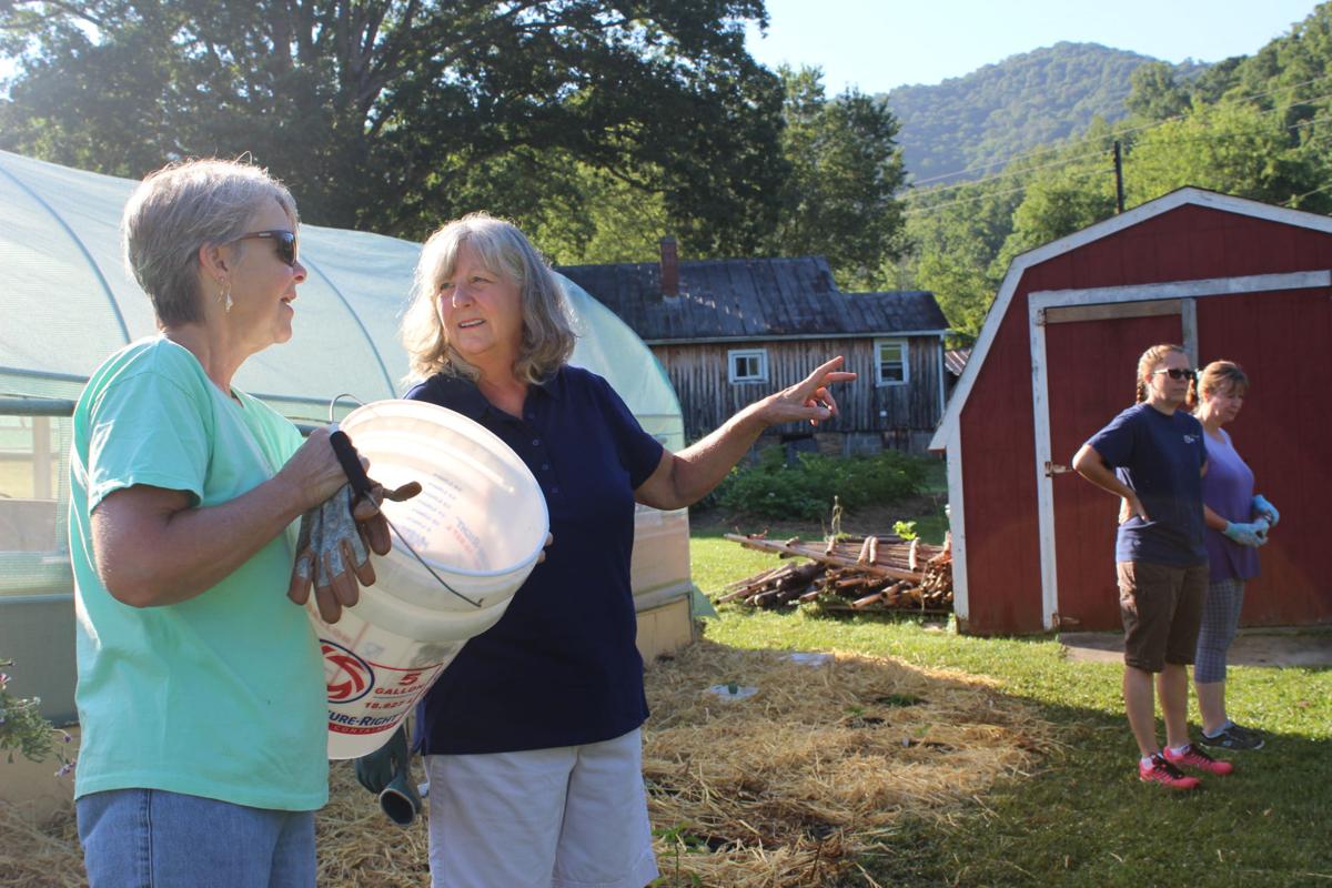 Backyard Organics Community Garden Themountaineer Com