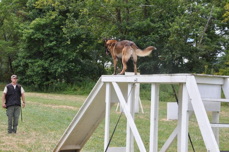 New K9 agility training facility opens News