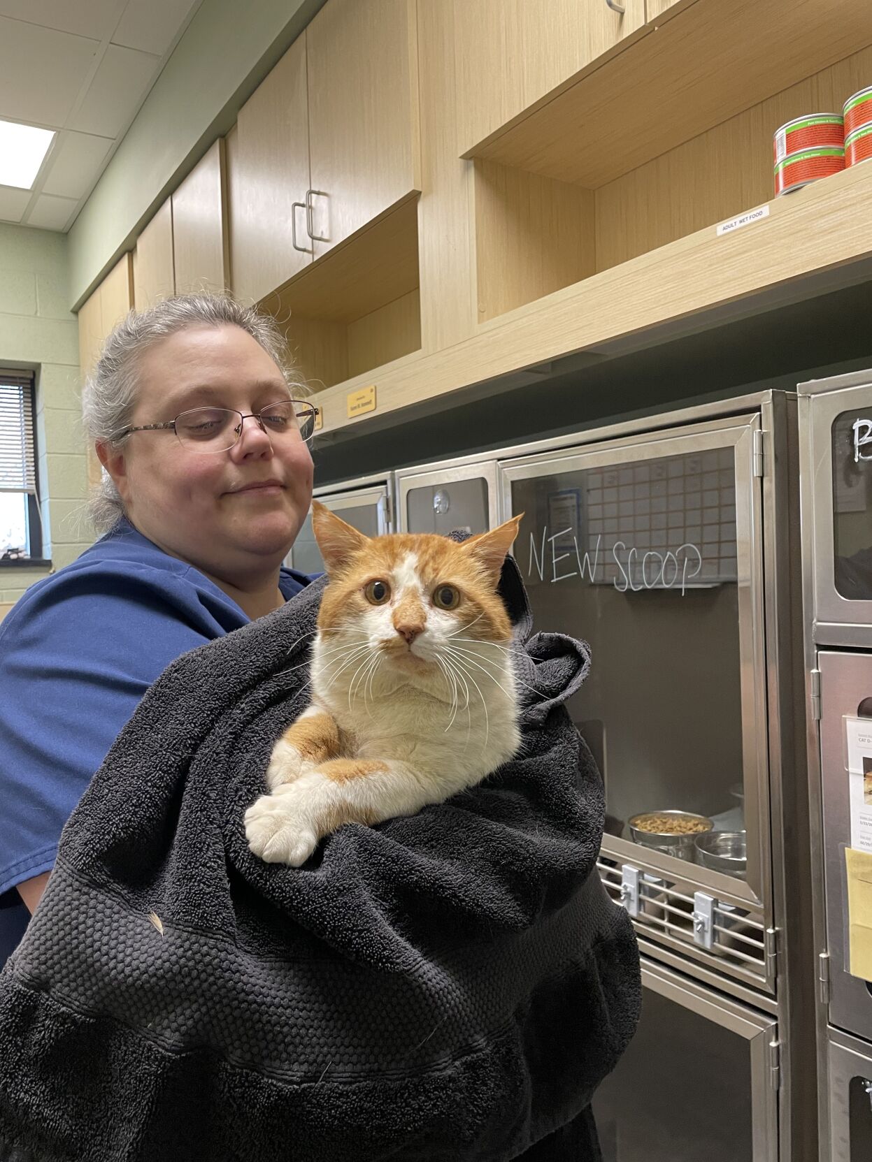 Behind the scenes of the pet intake process at Haywood County animal ...