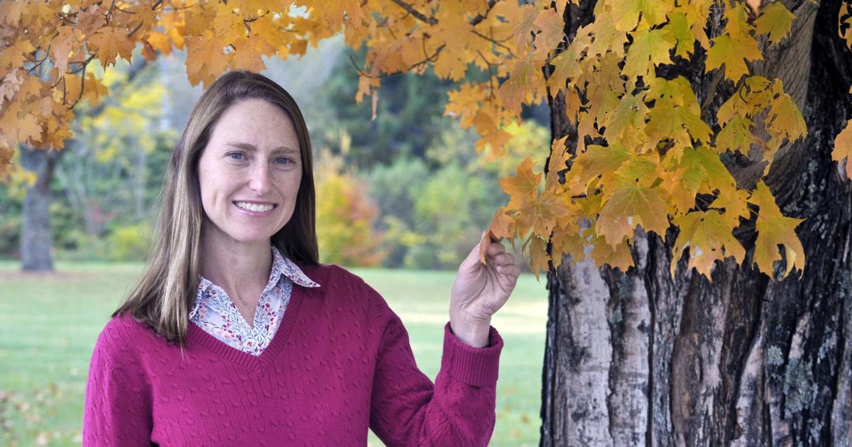 WCU professor gives fall color forecast | Lifestyles | themountaineer.com