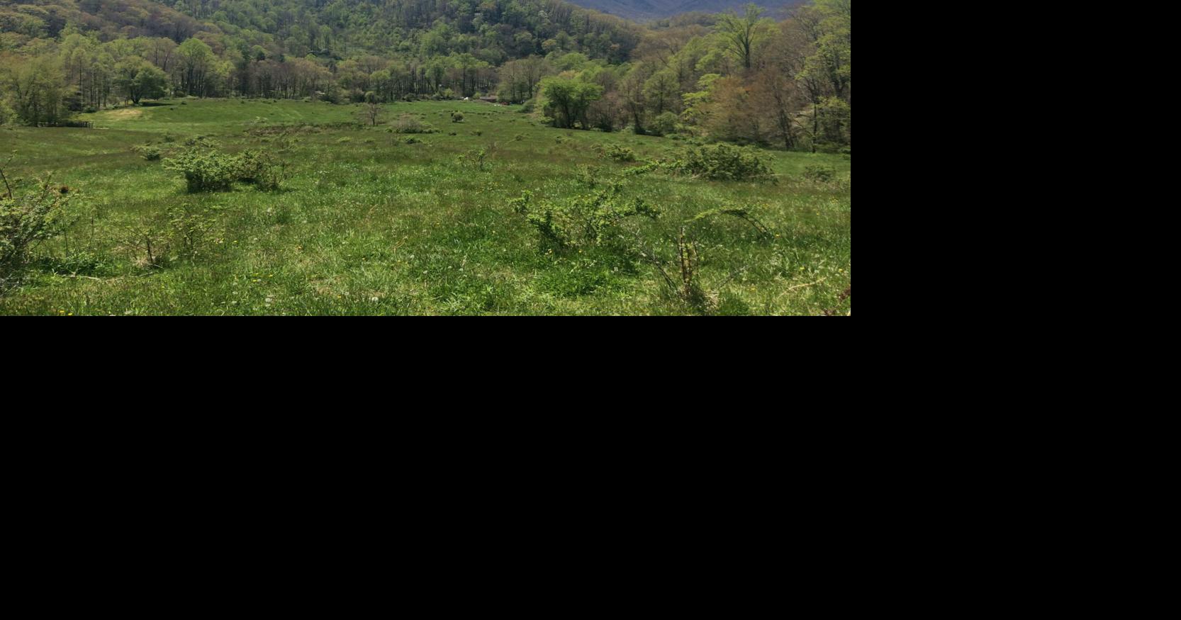 Mount Pisgah land protected Outdoors