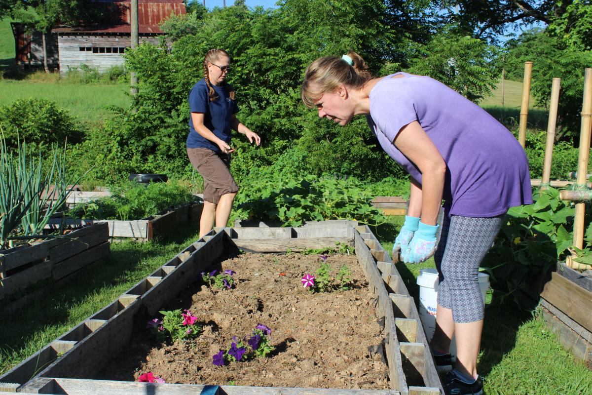 Backyard Organics Community Garden Themountaineercom