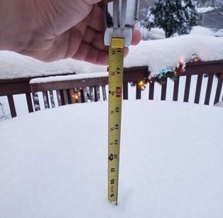 The verdict is in: what Winter Storm Izzy looked like in Haywood | News