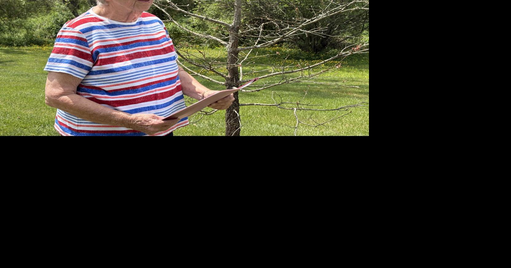 Ancient Haywood tree lives on as sapling commemorating America's 250th ...