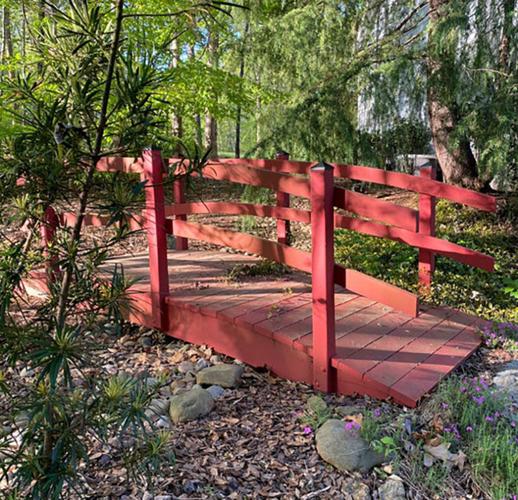 Find the right plant for the right spot with help from the Plant