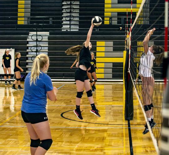 Pisgah volleyball preview Lady Bears plan for playoffs Sports