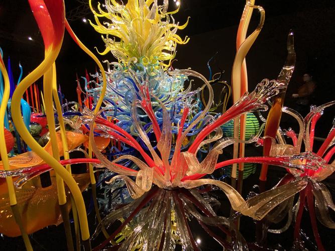 Aweinspiring works of glass master Dale Chihuly return to Biltmore Arts Entertainment