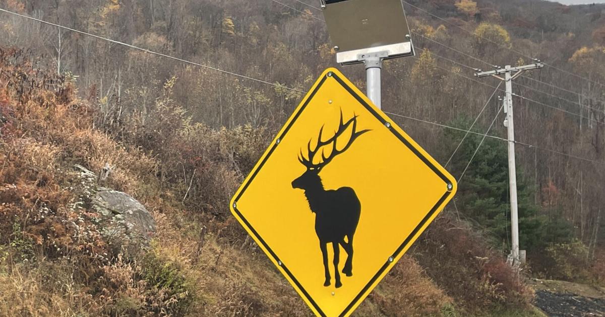 New elk crossing signs installed following theft | News ...