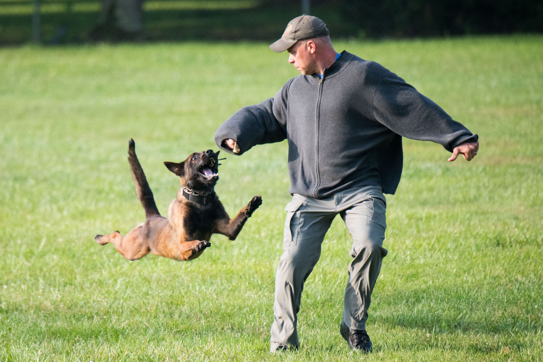 Saluting the patriarch of K9 policing Gilmore hangs up his leash