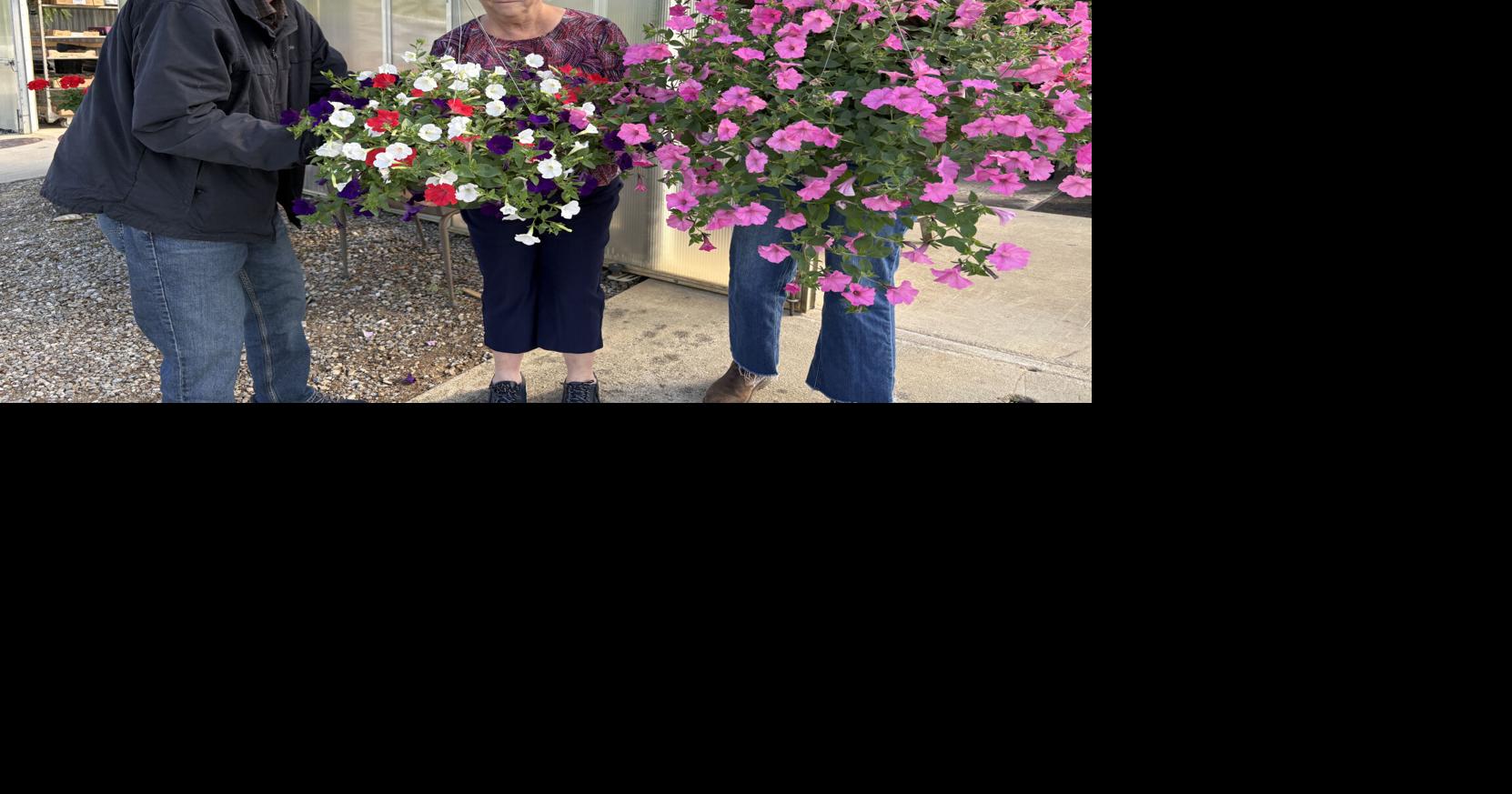cold mountain nursery 5