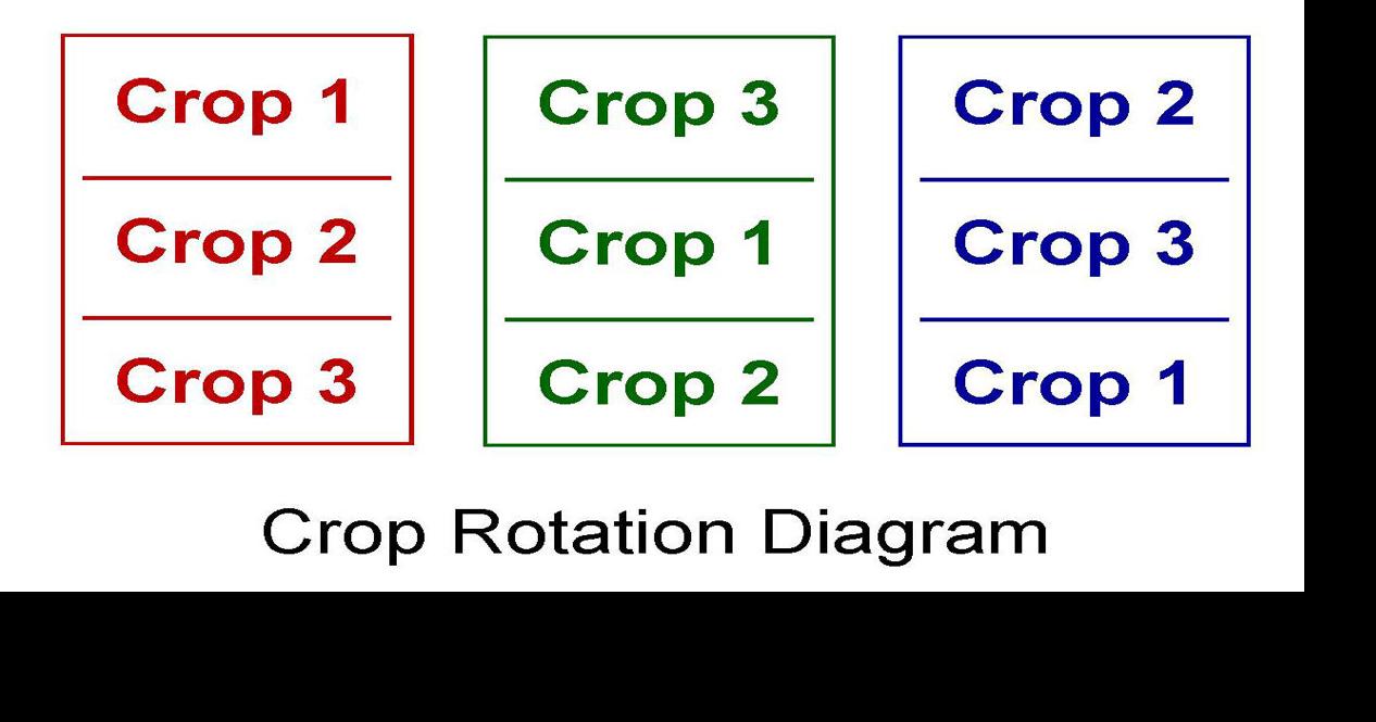 Crop Rotation Diagram.jpg | | themountaineer.com