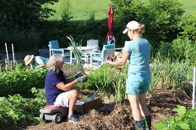 A Garden For All With Backyard Organics Everyone Can Grow News