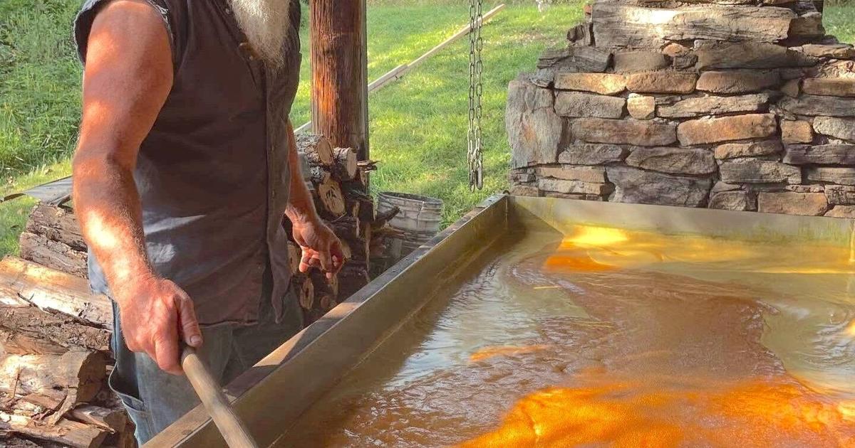 Molasses Extraction See molasses being made the old-fashioned way at Sorghum Harvest ...