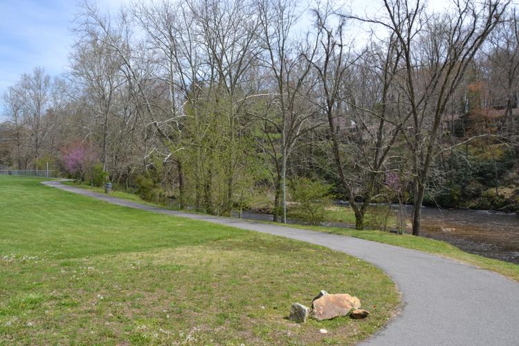 Dogs may soon be allowed in Canton rec park News