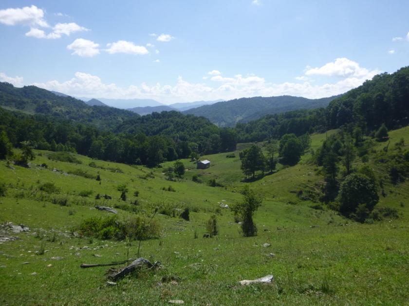 Conservancy protects 50 acres in Haywood | Local News - The Mountaineer