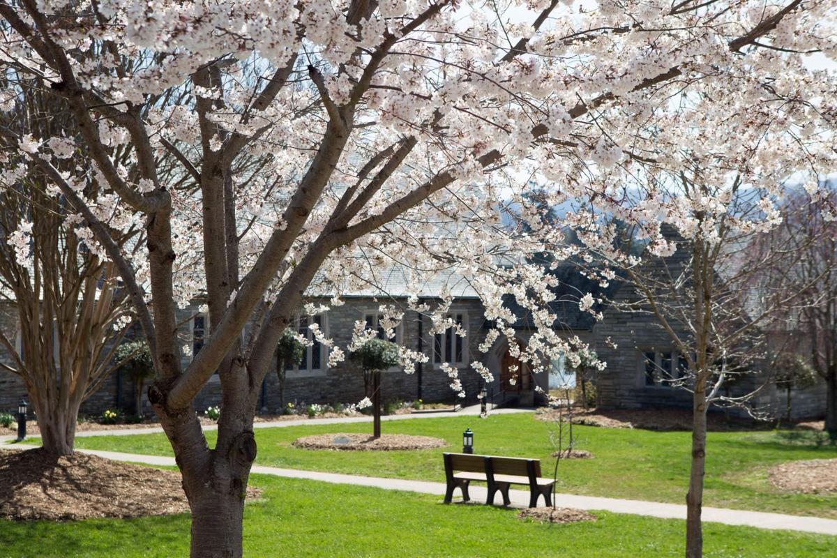 Landscaping Labors Glorious Grounds Spark Spring Fever At Lake Junaluska Life Themountaineer Com