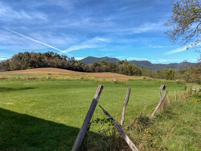 Apple, molasses, hogs, and feed Patton Farm produced it all Haywood