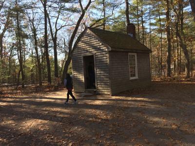The Fishy Facts About Walden Pond Columns Themountaineer Com