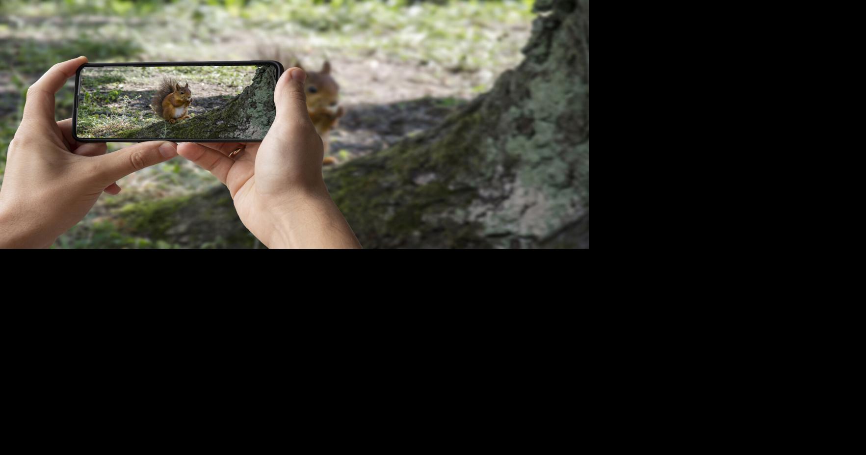 Go nature spotting in your backyard as part of global Nature Challenge ...