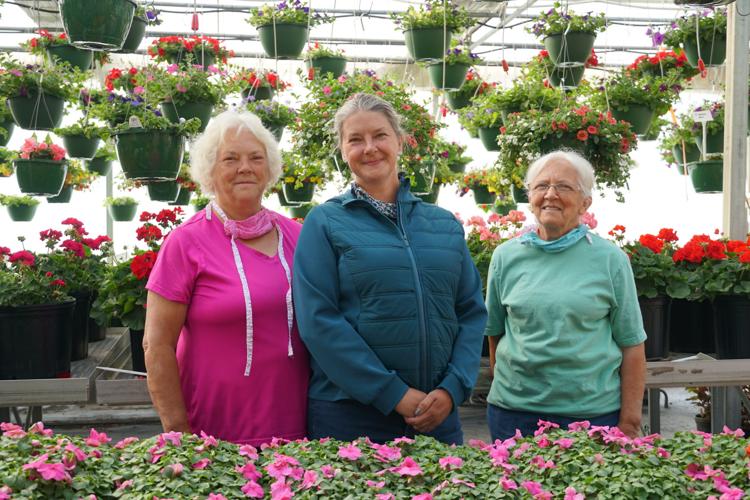 Cold Mountain Nursery Business