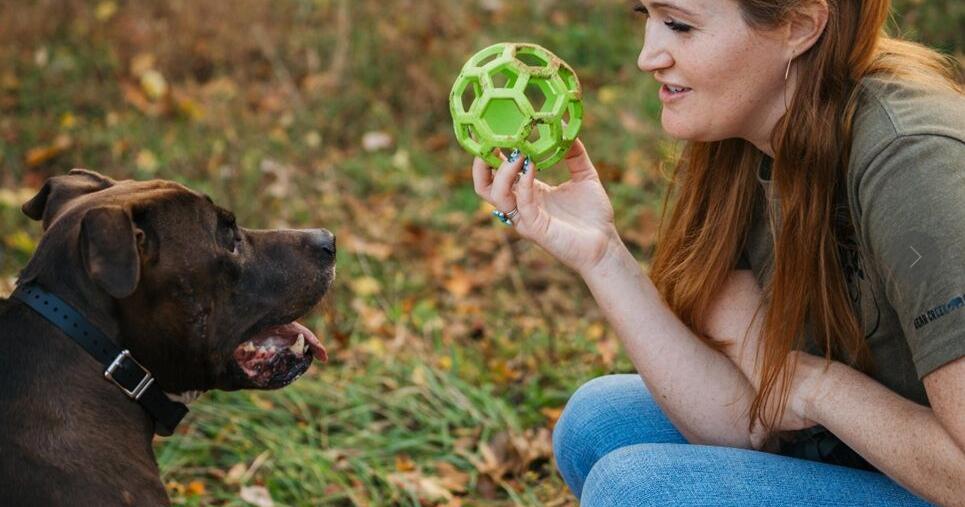 Pawsitively good manners: Picnic Pups aims to restore sanity, enjoyment for dog owners in public spaces