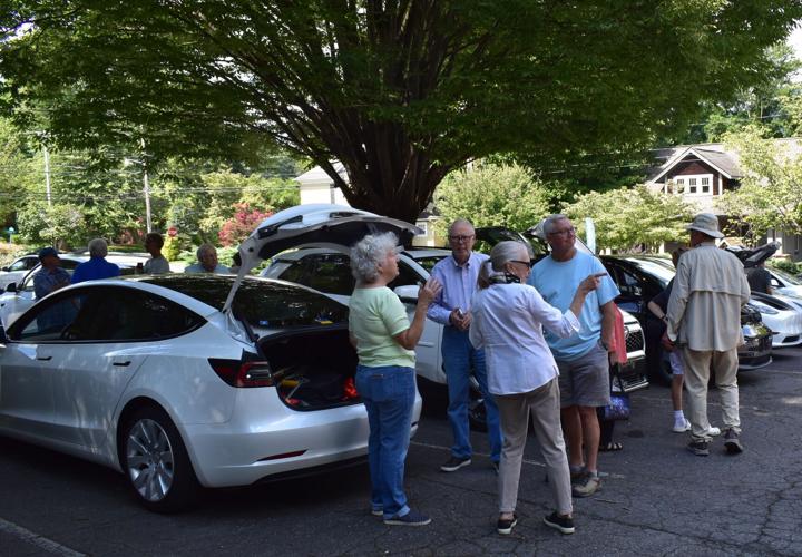 Triple Win Electric vehicles a big hit Opinion