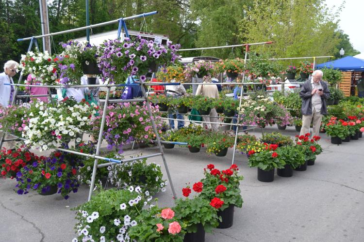 Whole Bloomin’ Thing spring festival returns Arts Entertainment