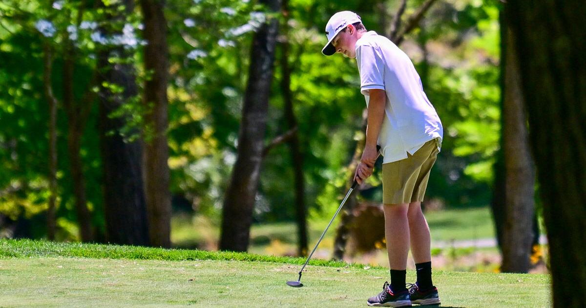 Tuscola qualifies for regional golf tournament | Sports ...