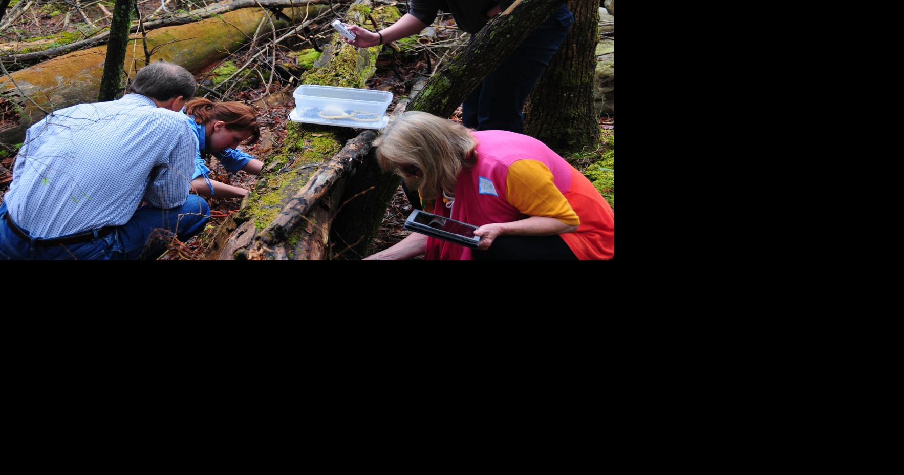 Verizon helps turn science teachers into rangers | Business ...