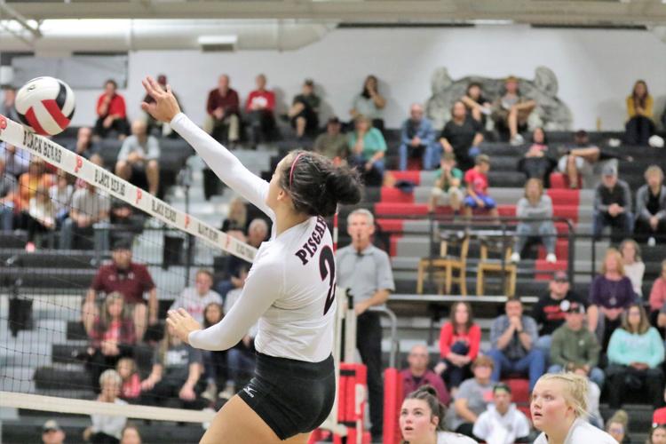 PHOTO GALLERY Pisgah volleyball vs. Franklin (conference tournament