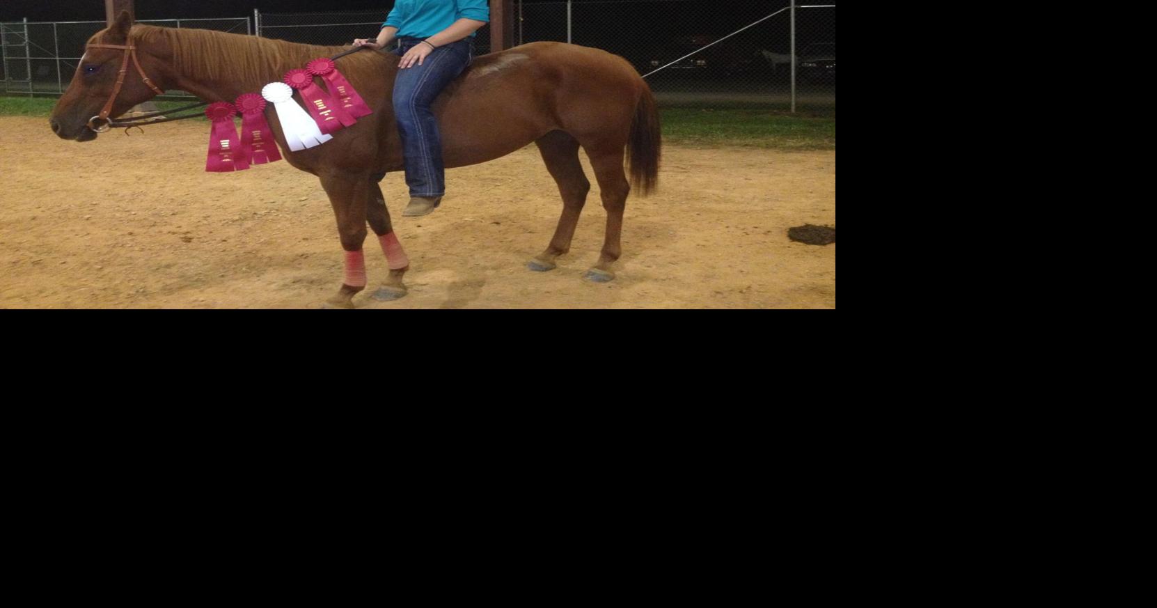 Allen receives horse show accolades | Achievements | themountaineer.com