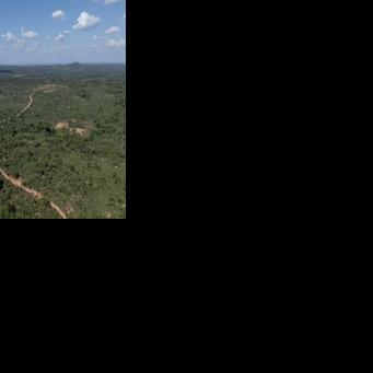 Protected forests under threat in DRC's lucrative mining belt