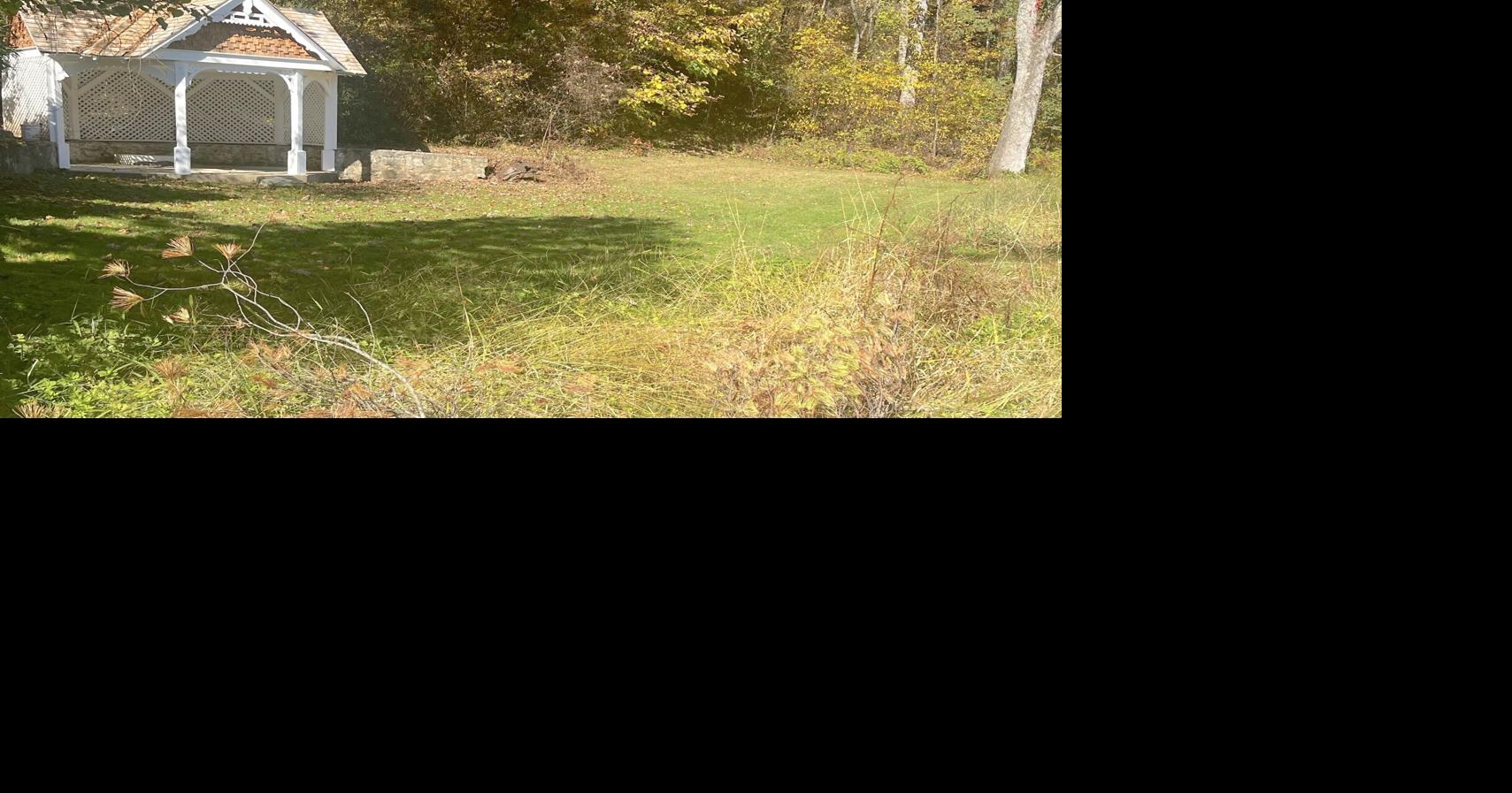 Unsung town park home to the fabled healing springs gets needed ...