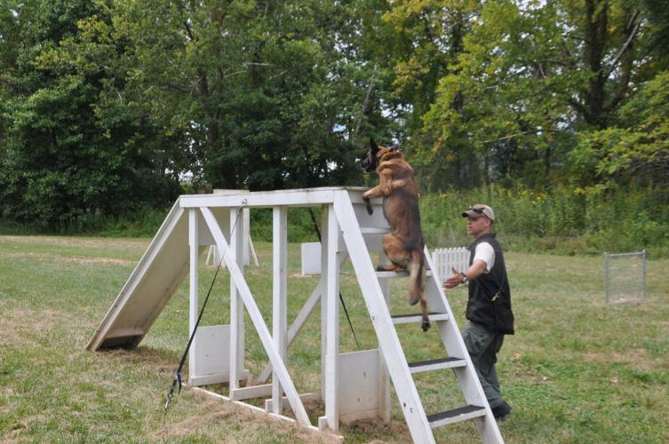 New K9 agility training facility opens News