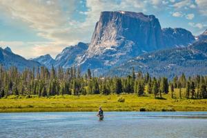 Estados onde a popularidade da pesca está a crescer |  Nacional