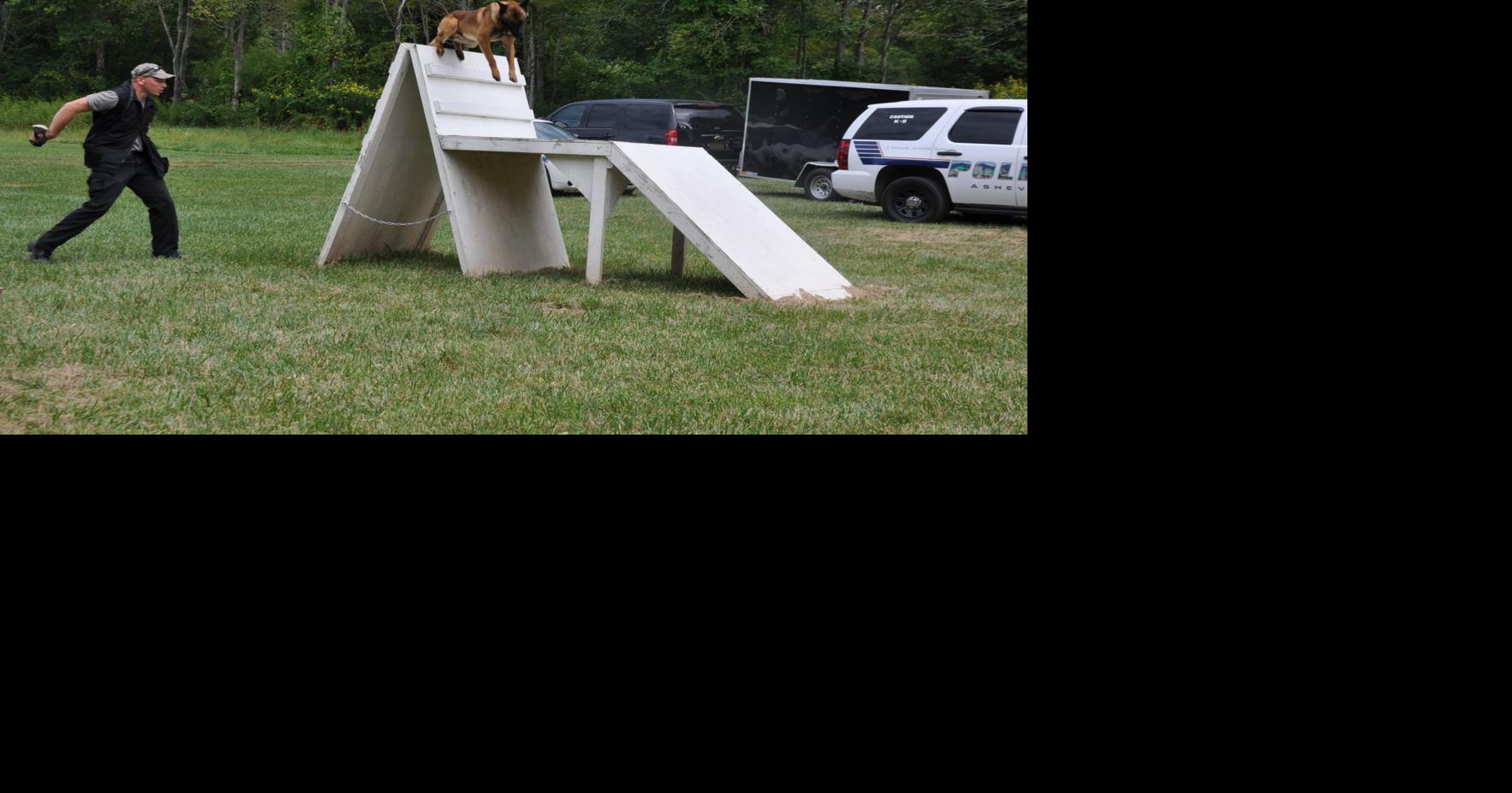 New K9 agility training facility opens News
