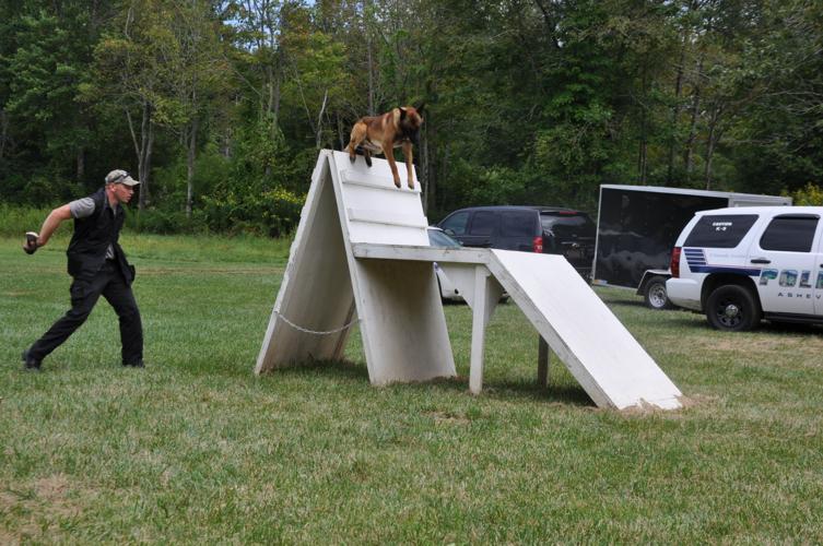 New K9 agility training facility opens News