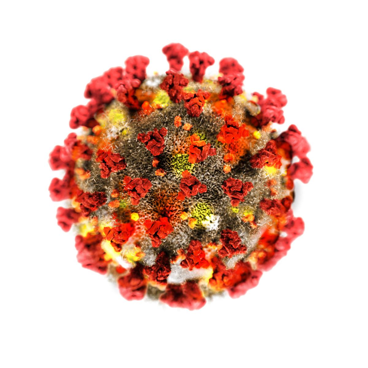 Image result for coronavirus white background